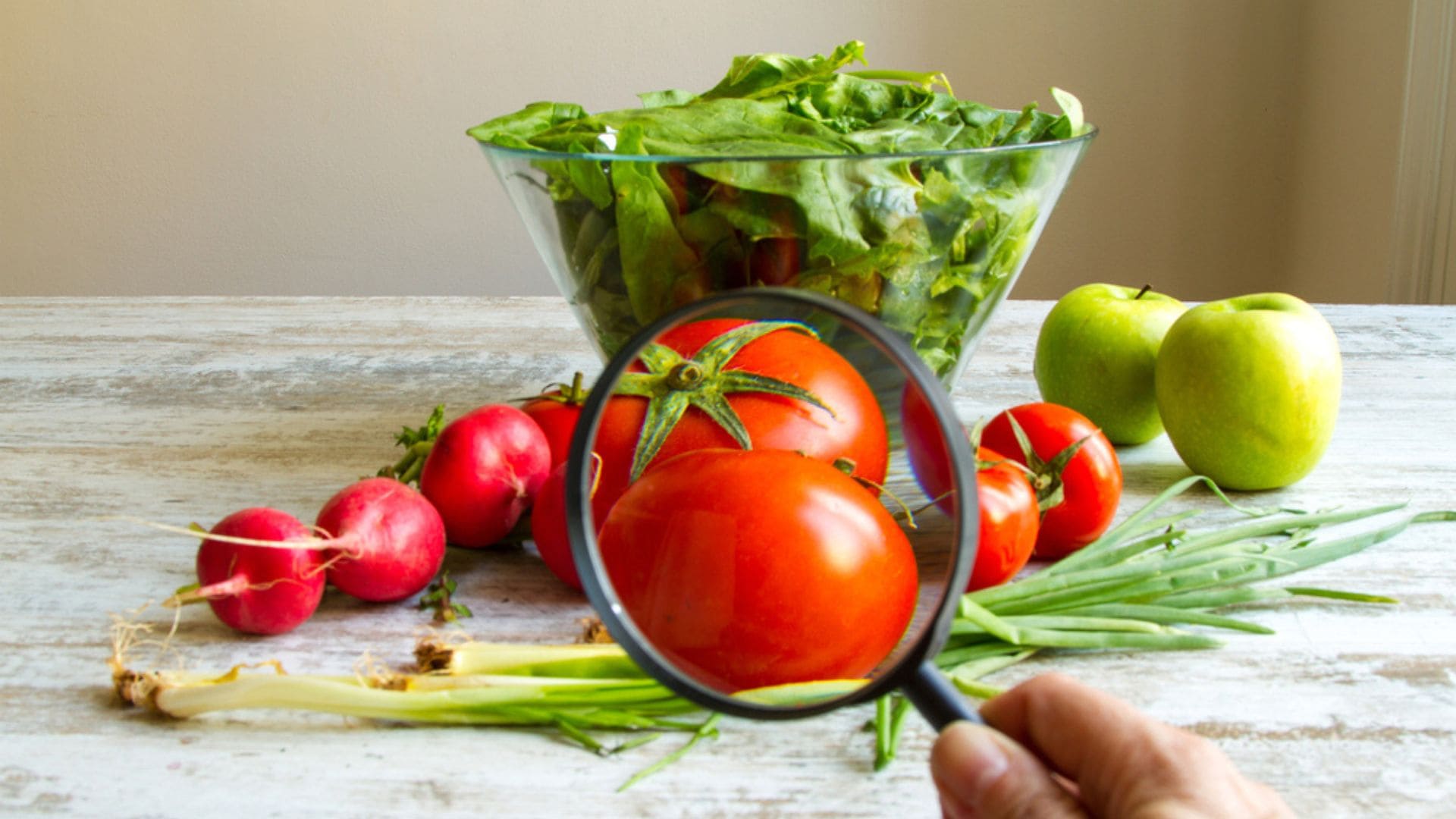 Garantiza la Seguridad de Alimentos y Bebidas durante el